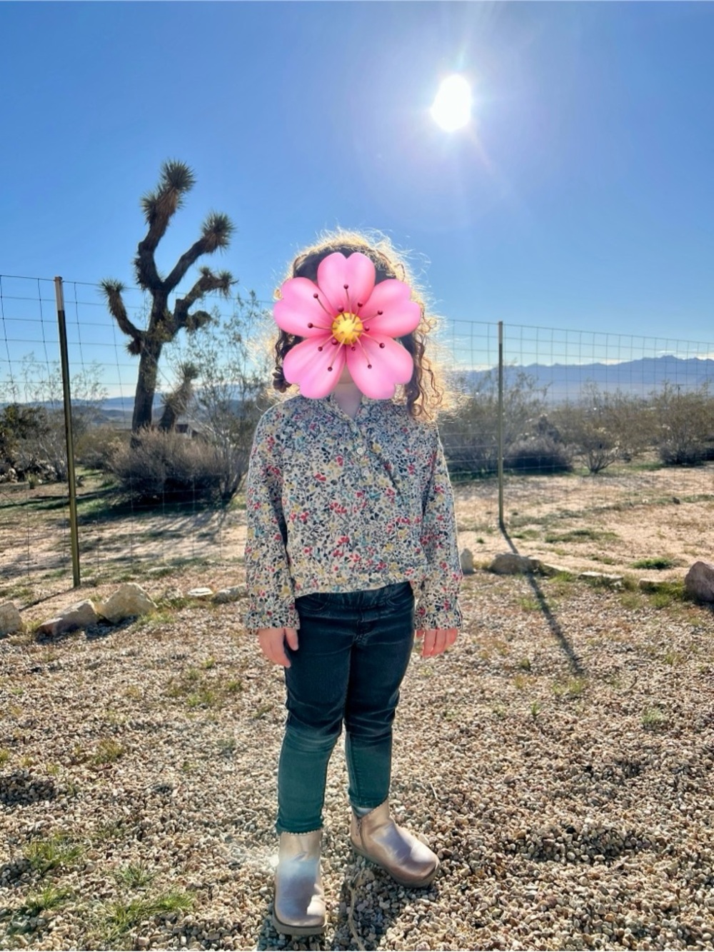 Bonpoint Floral Smocked & Embroidered Blouse